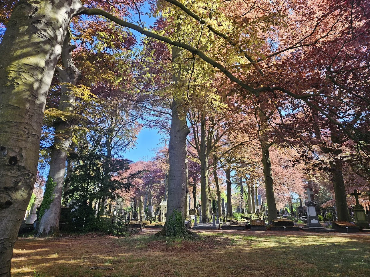 Kerkhof, hoek twee.